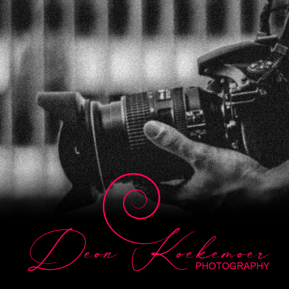 Dexitt Brand Design work